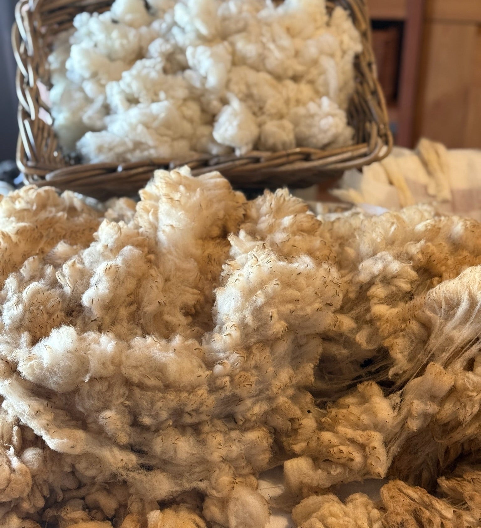 Our Wool Workshop In Portugal